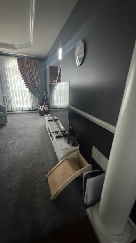 Living room media console and freshly vacuumed carpet after professional cleaning